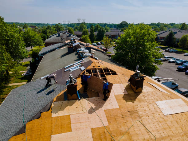 24/7 Emergency Roof Repair experts in Palmyra, VA